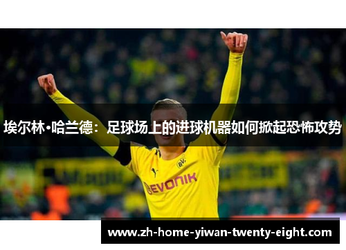 埃尔林·哈兰德：足球场上的进球机器如何掀起恐怖攻势