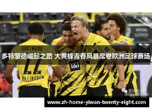 多特蒙德崛起之路 大黄蜂青春风暴席卷欧洲足球赛场